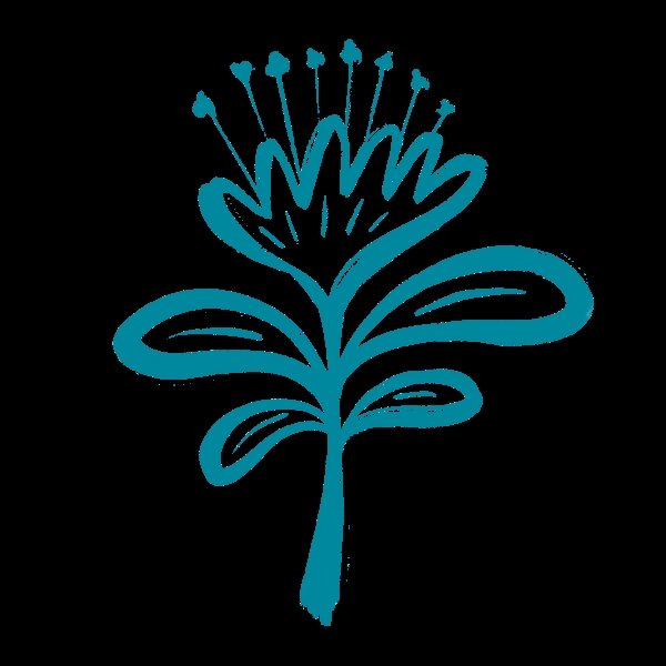 Web Design Agence - La Nativa Bar - Logo Web Design Agence - La Nativa Bar - Logo